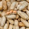 Erdnussallergie bei Kindern: Warum die Immuntherapie nicht immer hilft