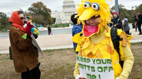 Not just Big Bird: What to know about the Center for Public Broadcasting and its funding cuts