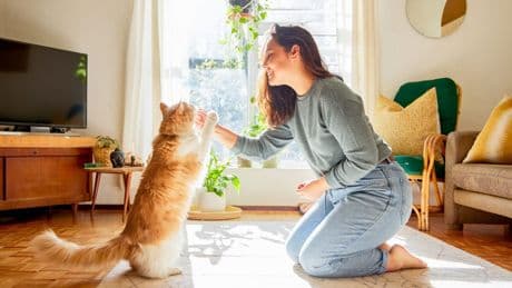 Haustiere: Diese Krankheiten übertragen Hund, Katze und Co. auf Menschen
