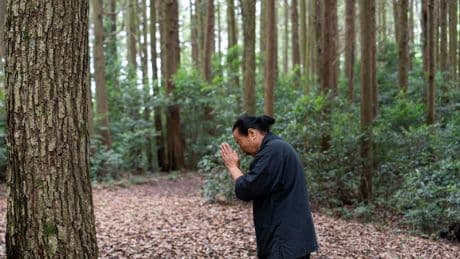 L’autre Japon : « Ici, nous sommes entourés de vie », ils ont troqué la ville pour une nature aux secrets insoupçonnables