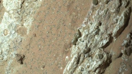 Mars: Nasa-Rover findet Hinweise auf Leben in außergewöhnlichem Gestein