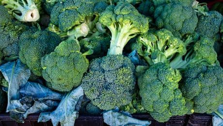 UK braces for broccoli shortages amid warning vegetable could be smaller