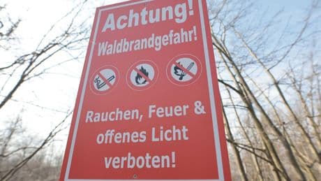 Wetter: Teils hohe Waldbrandgefahr im Nordosten