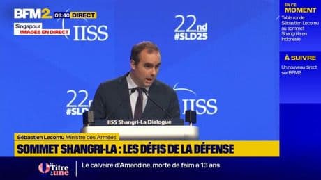 Nucléaire dans l'espace : "Ce serait un désastre total", assure Sébastien Lecornu, ministre des Armées
