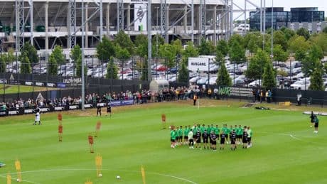 Neues Video-Format: Schicken Sie uns Ihre Fragen rund um Borussia – unsere Reporter antworten