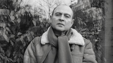 Gérard Chaliand, Intrepid Authority on Geopolitics, Dies at 91