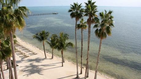 Tourismus-Beben in den USA: "Kommt bitte wieder zurück zu uns"