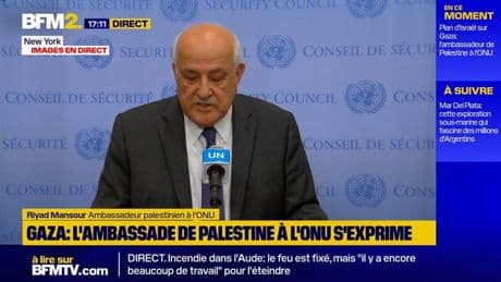 Gaza: "Notre objectif est d'arrêter cette terrible escalade d'Israël", déclare Riyad Mansour, ambassadeur palestinien à l'ONU
