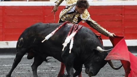 Bildu urge a abrir el debate sobre los toros en fiestas pero «respetando los ritmos en cada lugar»