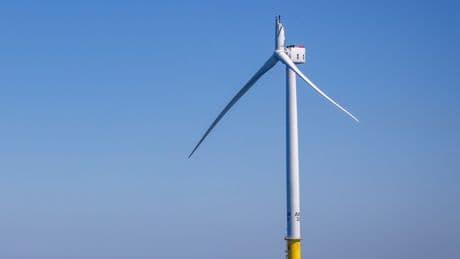 White House Orders Agencies to Escalate Fight Against Offshore Wind