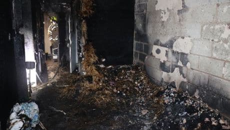 Recalled gadget linked to explosions and fires found for sale on Facebook after mass blacklisting