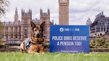 Calls for police dogs to be awarded government pensions when they retire