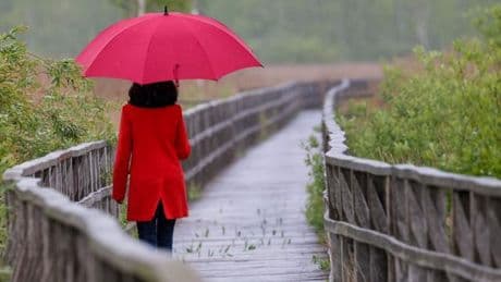 Wetter: Dauerregen und Gewitter in Nordrhein-Westfalen erwartet