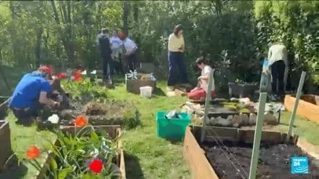 A French school near Paris competes in the Vegetable garden World Cup