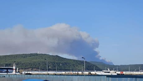 Çanakkale Gelibolu ormanları alevler içinde: Havadan ve karadan müdahale sürüyor