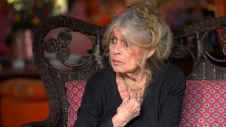"Je veux l'abolition de la chasse à courre": Brigitte Bardot se confie à BFMTV sur son "ultime combat"