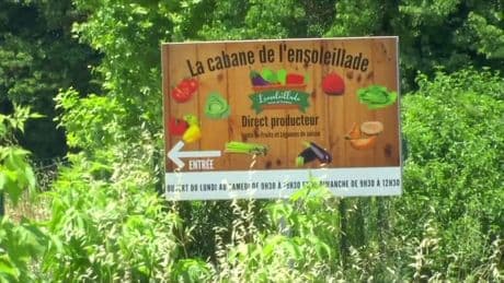 "On est tous menacés de mort": des saisonniers attaquent leurs chef d'équipe accusé de traite d'êtres humains