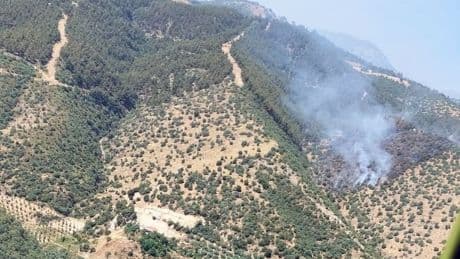 Alaşehir’de ormanlık alanda yangın: 4 uçak, 2 helikopterle müdahale devam ediyor
