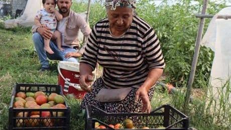 Emekli olduktan sonra memleketine dönüp üretime başladı: 'Borçla kurdum, 3 aile geçindiriyorum'
