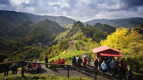 Ausflugstipp ab Köln: Rotweinwanderung mit Natur, Stadt-Flair und Genuss