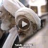 A View From Inside Iran