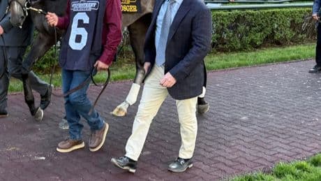 Gosger Hopes To Make The Grade In The Haskell Stakes