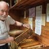 50 Jahre Imkern am Stadtrand: Was Bienen glücklich macht