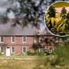 SNP politician, 71, charged after police discover £1/2million cannabis farm at idyllic rural home