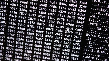 IT-Sicherheit: Passwörter von Landtagsabgeordneten im Darknet entdeckt