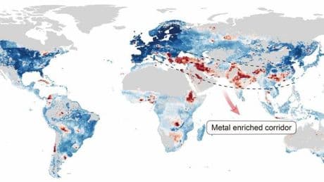 Toxic Metals In Soils Threaten Billions Of People