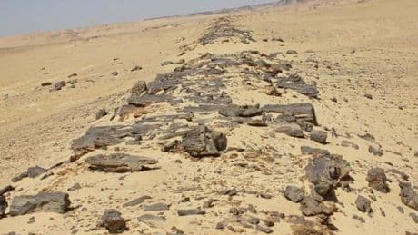 The world's oldest road is 4,325 years old and even had a pavement