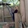 Moment schoolchildren climb fence into garden and steal PUPPY from cage