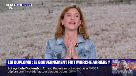 Loi Duplomb: "Le débat arrive à un moment où la France n'est pas prête", déclare Juliette Méadel, ministre déléguée chargée de la Ville