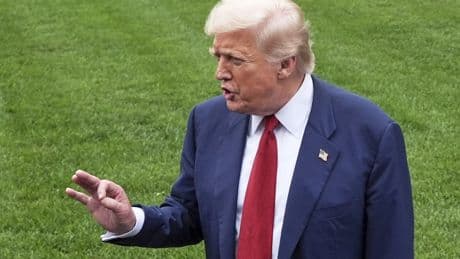 El arancel siempre llama dos veces con Trump: el singular caso de la aceituna negra