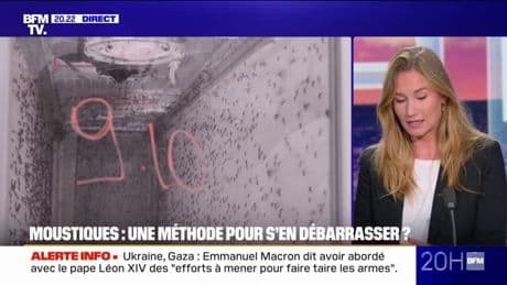 LE REPORTAGE DU 20H - Un procédé mis au point pour bloquer la reproduction des moustiques tigres et limiter leur prolifération