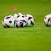 Niederlande: Traditionsclub Vitesse Arnheim verliert Profilizenz