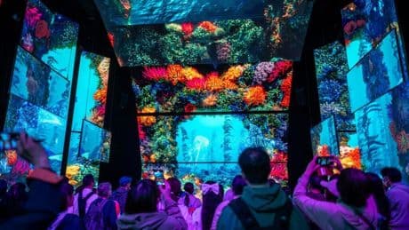 🌟The Bright Side: What's the point of a World Expo?