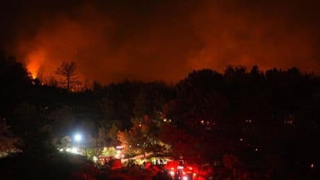 İzmir'de orman yangını davası: 4 şüpheliden 1'i tutuklandı