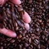 Globales Kaffeegeschäft: Neuer Kaffee-Riese geplant: Keurig Dr Pepper will JDE Peets