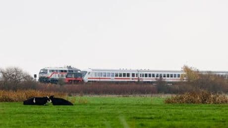 Sylt: Zugverkehr ist wegen Stellwerkstörung bis auf Weiteres lahmgelegt