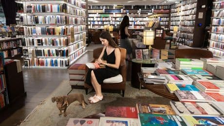 Una isla de librerías en el Eixample