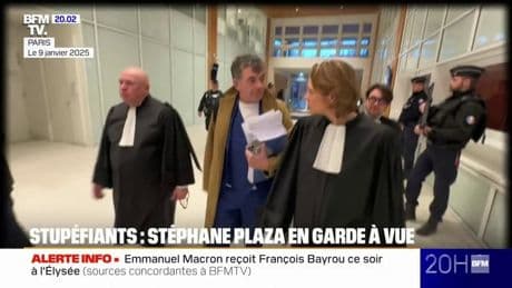 Stéphane Plaza: ce que l'on sait de la garde à vue de l'ex-animateur