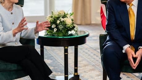 Europe Made Major Trade Concessions to Trump. How Did That Happen?