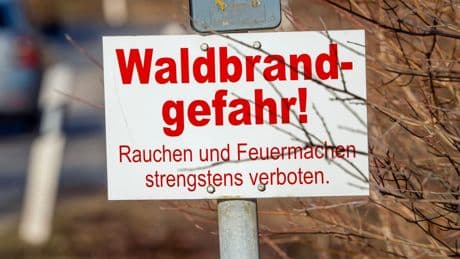 Düsseldorf warnt bei Hitze vor hoher Waldbrandgefahr