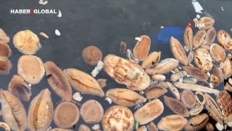 Rize’de yüzlerce ekmek, simit ve mısır ekmeğini denize döktüler