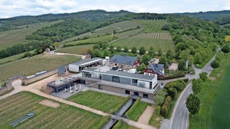 Neuausrichtung der Staatsweingüter Hessen: Zäsur für Landesbetrieb