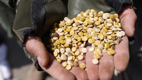 Les enjeux de la lutte contre la drogue dans la Syrie post-Al-Assad