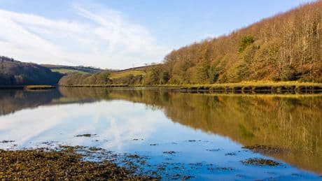 Girl, 11, dies at beauty spot after incident in water