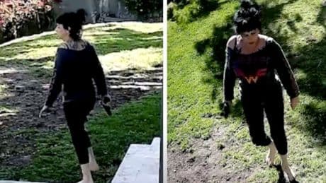 Footage shows Weezer bassist’s wife with gun moments before LAPD cops shot at her