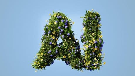 19 Practical Ways To Reduce AI’s Environmental Impact